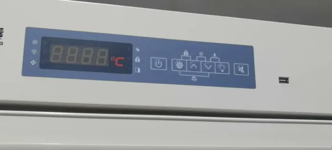 Large Capacity 416L Vertical Stand Medical Pharmacy Vaccine Refrigerator 2-8 Degrees