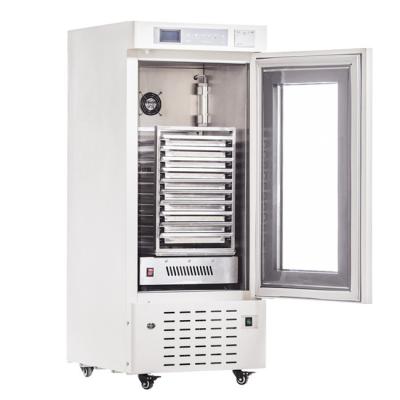 China High Quality Stainless Steel Biomedical Blood Platelet Incubator With Intelligent 10 SUS Layers for sale