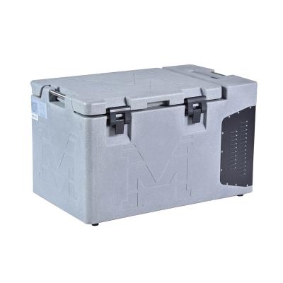 China Refrigerante vaccíneo de la caja R134a del refrigerador del transporte de la corriente continua 80L de la CA para el uso del coche en venta