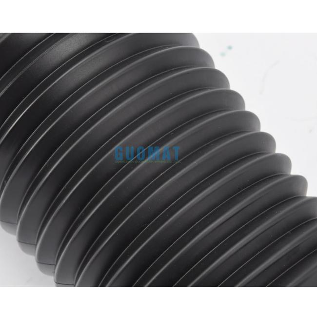 Air Suspension Spring 4f0616040 for Audi A6 C6 4f S6 4f0616040q Front Right