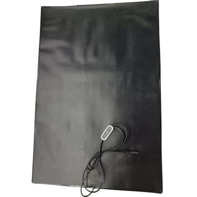 China PVC Pet Heat Mat 12V Heating Pad 60x40cm With Temperature Controller For Dog Cat for sale