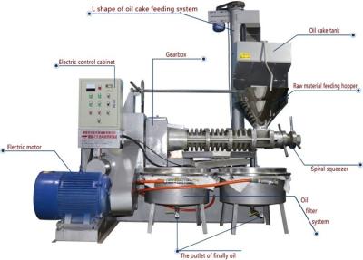 China Easy Operation Cold Press Oil Extractor / Industrial Cold Oil Press Machine for sale