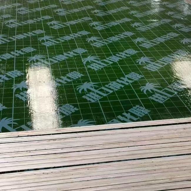 Green Film Faced Shuttering Plywood product image showing the green phenolic film surface