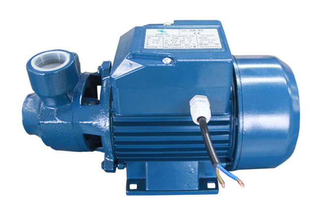 peripheral pump