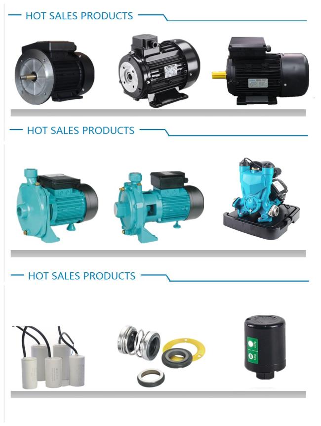 swimming pool pump