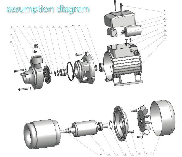 peripheral water pump
