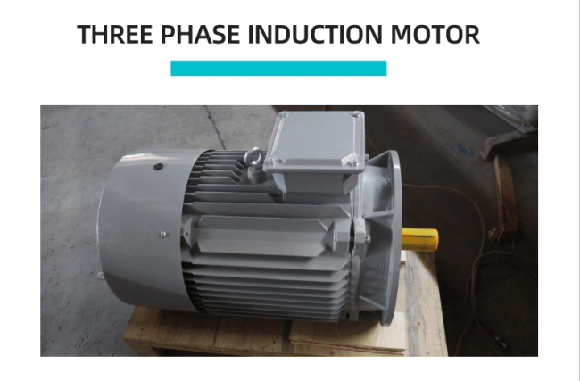three phase induction motor