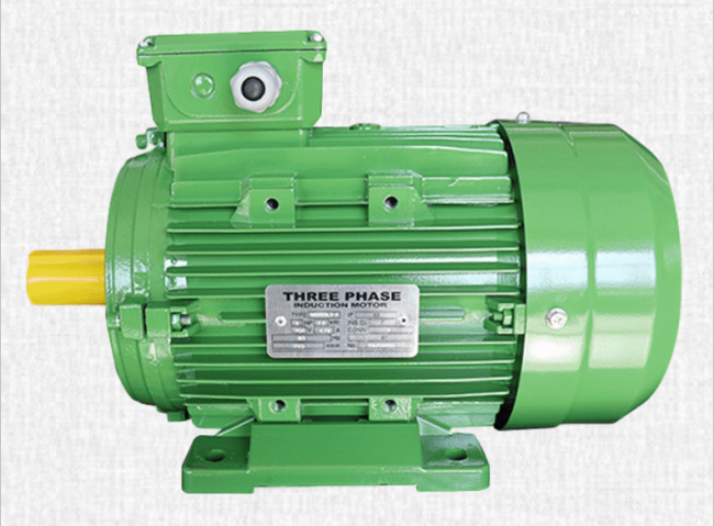 three phase induction motor
