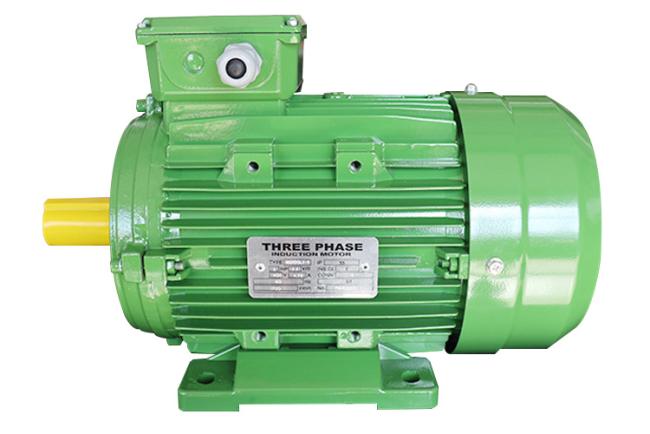 three phase electric motor