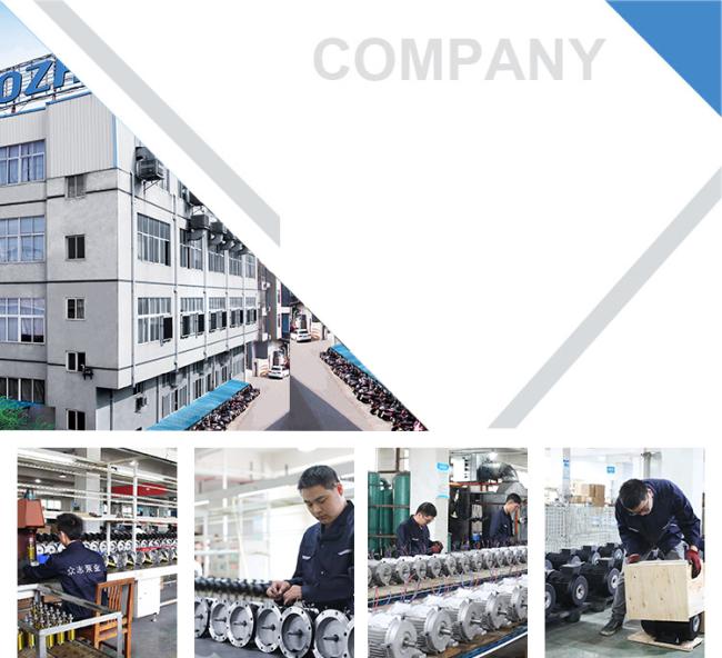 ZOZHI Company Profile