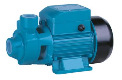 China Peripheral Small Electric Clean Water Pump , Vortex Water Pump For Fountain 1HP for sale