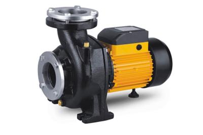 China Single Stage Nfm Series Electric Centrifugal Pump , Pool High Volume Electric Water Pump for sale