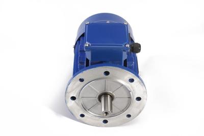 China MS Series Aluminum Metal 3 Phase Induction Motor 0.18KW 3Ph Electric Motors 2 Pole 63 Frame for sale
