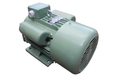 China 0.5 HP Single Phase Electric Motor 0.37 KW IEC Standards Low - Temperature Rise for sale