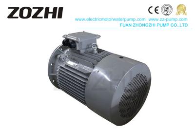 China 5.5KW IE3 Motor Efficiency Chart Three Phase 2 Pole IP54 Protection Class IE3-132S1-2 for sale