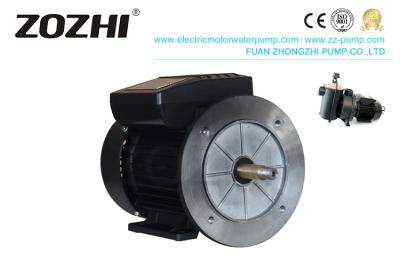 China 2 Pole Electric Water Pump Single Phase Capacitor Start Motor MYT712-2 0.75KW 1HP for sale