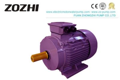 China 4 Pole Three Phase Electric Motor Cast Iron Y2 Vacuum Impregnated Windings for sale