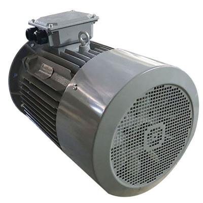 China Brushless AC Three Phase Induction Motor 15KW 20HP 380V 400V 3000RPM Y2-160L-4 for sale
