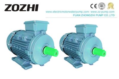 China Cast Iron 380v IE2 Three Phase Asynchronous Motor for sale