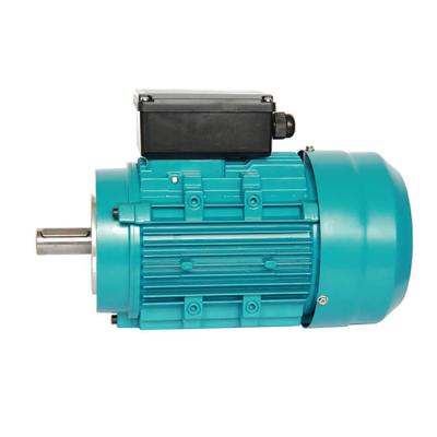 China IP55 0.33HP 0.25KW Aluminium Asynchronous Induction Motor for sale