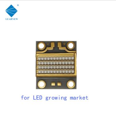 China ALN Coppering 126W LED COB UV 54000mW Ultraviolet LED Chip for sale