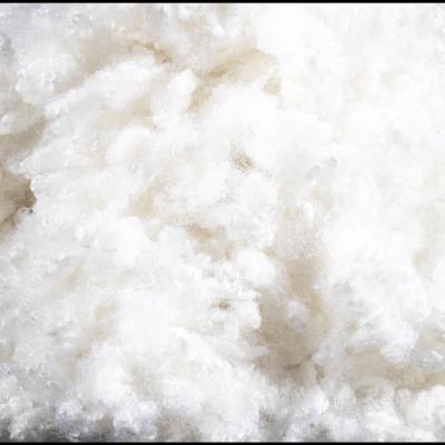 Chine Polyester écologique à base de fibres de remplissage blanches à base de fibres vierges creuses conjuguées à vendre