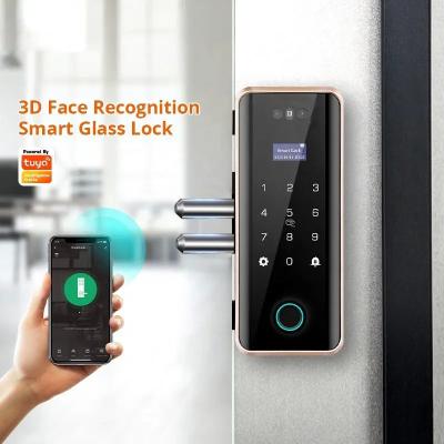 China Intelligent Biometric 3D Face Recognition Door Lock Doorbell Full Auto For Glass Door for sale