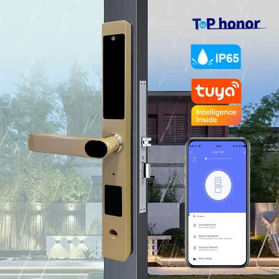 China Gold Bridge Cut Tuya App Door Lock Remote Control Fingerprint Code Card Key Lock en venta
