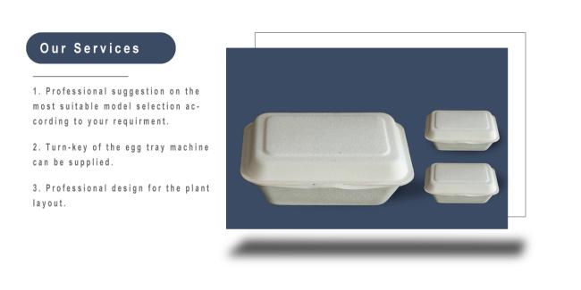 pulp molding machine sugar cane bagasse pulp machine for factory