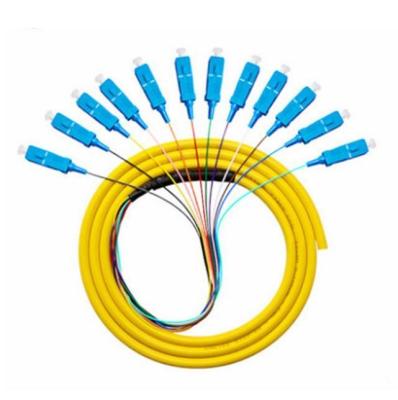 China Sc APC Upc Fiber Optic Pigtail 12 Cord Fibers Bunch Pigtail Multimode Single Mode for sale
