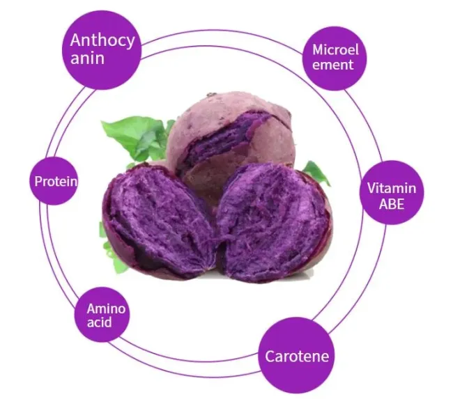 Purple Sweet Potato Powder Benefits Purple Sweet Potato Powder Benefits