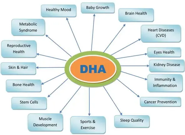 DHA Benefits DHA Benefits