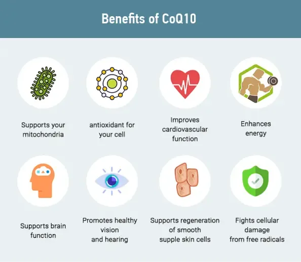 COQ 10 benefits COQ 10 benefits