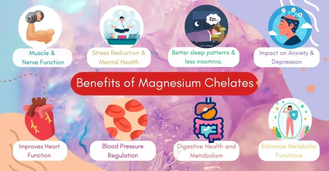 Benefits of Magnesium Bisglycinate Chelate Benefits of Magnesium Bisglycinate Chelate