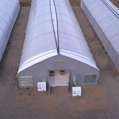 China Agricultural Single Span Film Hydroponic Tunnel Auto Light Dep Solutions  Greenhouse for sale