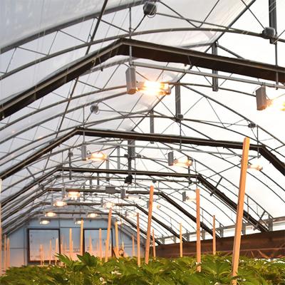 China Agriculture Single-Span Blackout Pe Automatic System Greenhouse For Vegetables And Flowers for sale