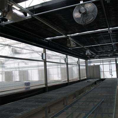 China Shade Net Irrigation Blackout System Greenhouse 100% Shading for sale