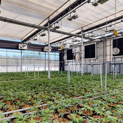China Medicine Planting US Marketing Automatic Light Deprivation Greenhouse With Blackout System for sale