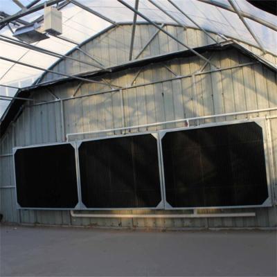 China Single Span Automatic Blackout Greenhouse Small Gutter Connected for sale