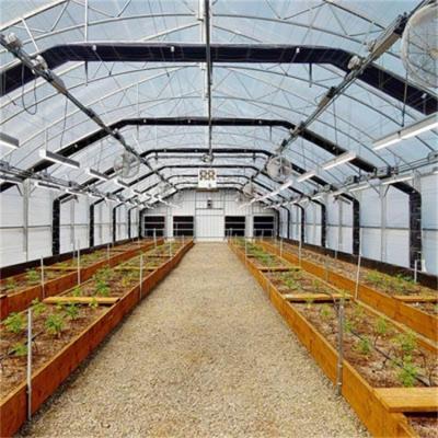 China 8x16m Agricultural Blackout Transmission Hothouse Automatic High Tunnel Greenhouse for sale
