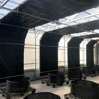 China Agricultural Single Span Automatic Blackout Greenhouse herb Light Dep Solutions for sale