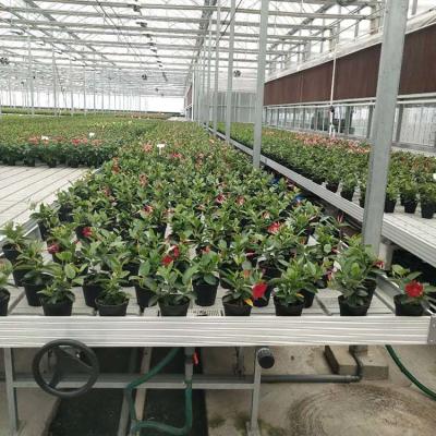 中国 7.5 Length Greenhouse Rolling Tables Up To 500 N/M2 Bearing Capacity W × L 4 × 8 販売のため