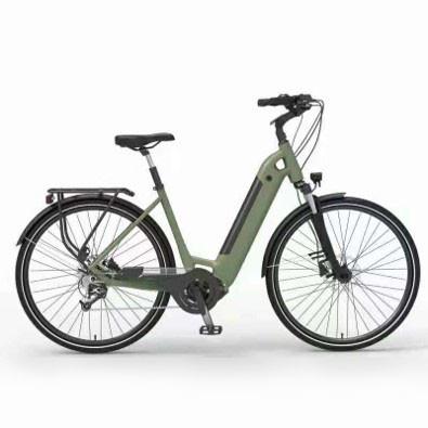 Китай велосипед electrique velo электрический велосипеды грязи 29 дюймов 1000w 750W электрические для взрослых детей продается