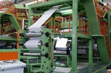 Papermaking (RPD/RBD)