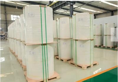China Ningún ALCANCE libre de madera amistoso de papel ROHS de Eco FDA de la piedra tóxica certificó en venta