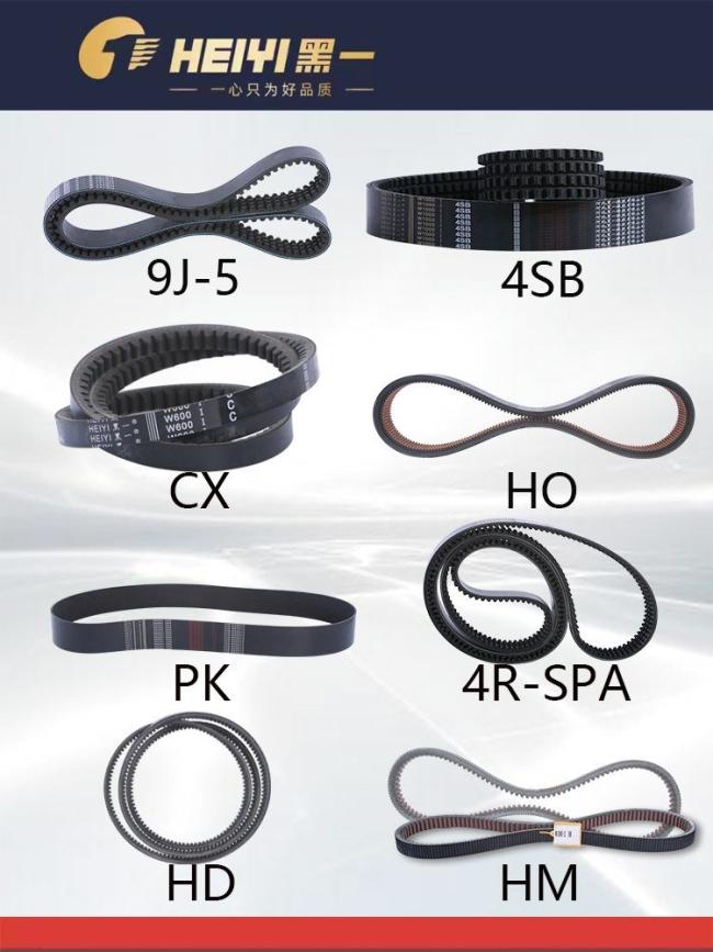 Cog V Belt /Double V Belt/Hexagonal V Belt (AA, BB, CC,)