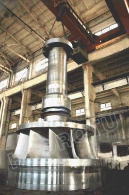 China High Efficiency Stainless Steel Francis Turbine Runner with Water Head From 10m to 300m for sale