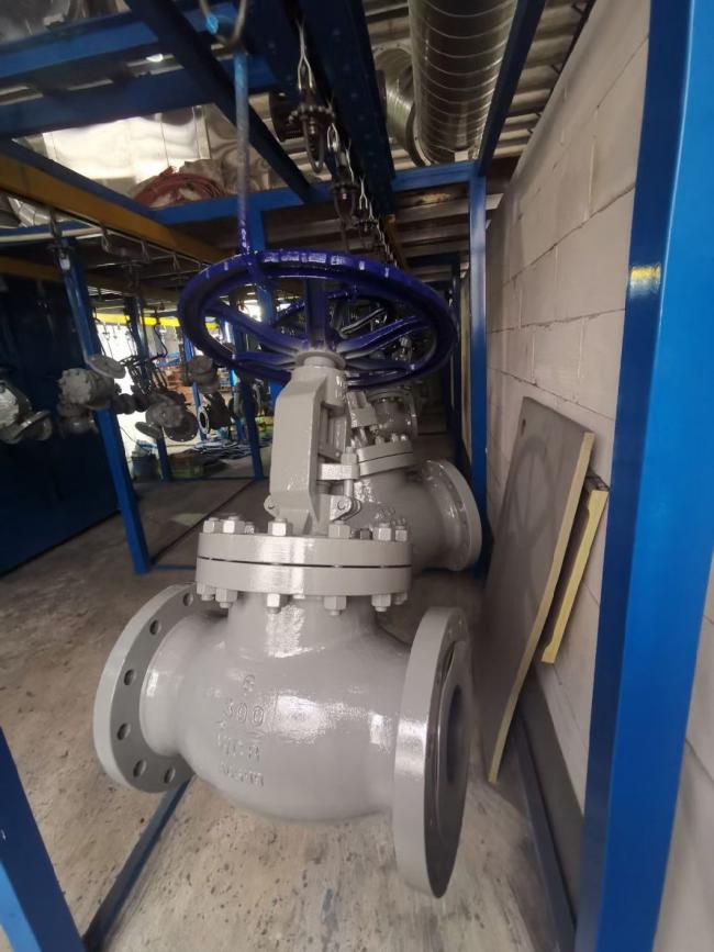 Xtv Flanged Globe Valve