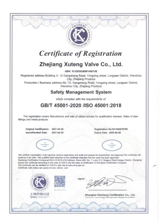 Xtv Flanged Globe Valve