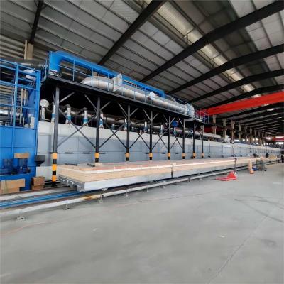 China Nature Gas Tunnel Kiln For Brick Firing Process Customized Continuous Automatic Temperature Controlling for sale